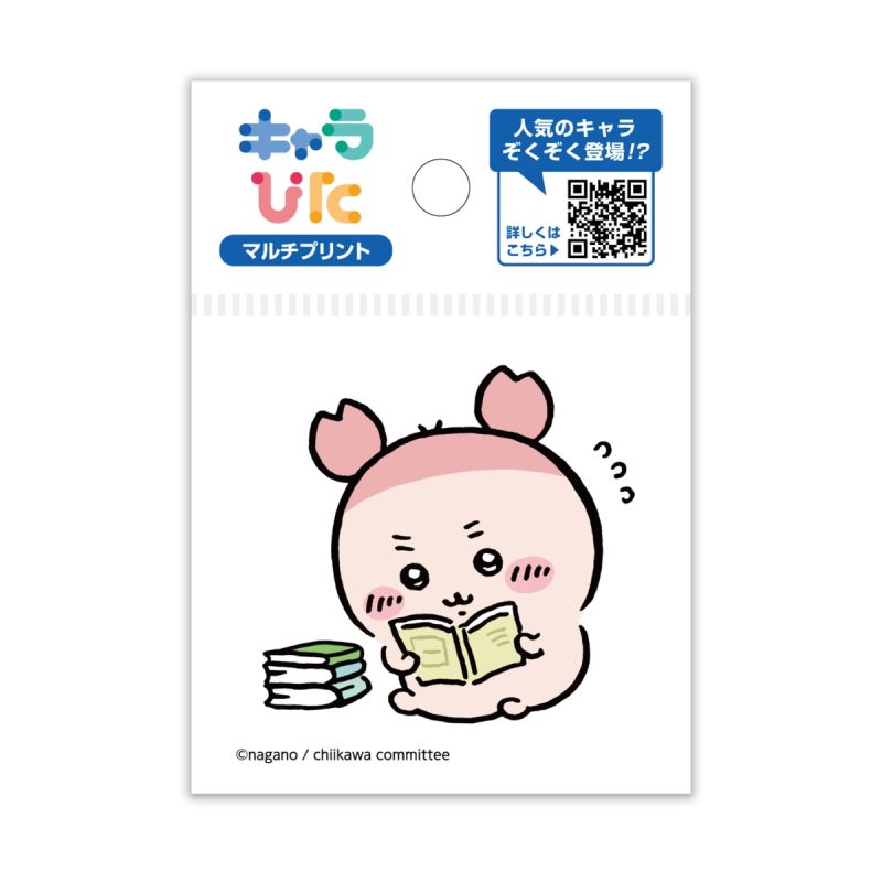 Chiikawa Charapita Multi Print Sheet   Mini 2
