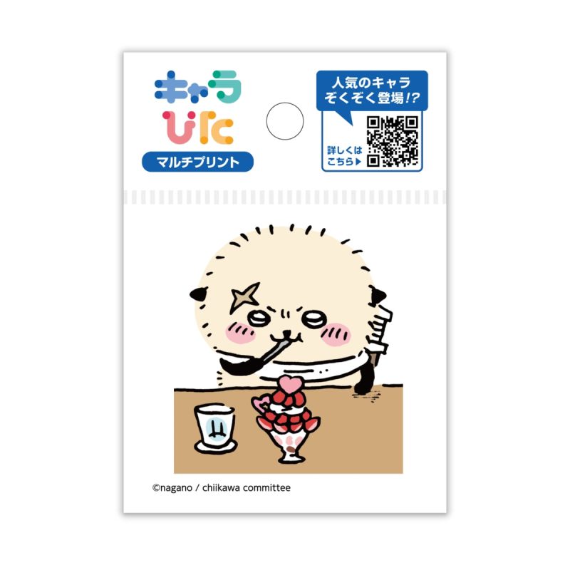 Chiikawa Charapita Multi Print Sheet   Mini 9